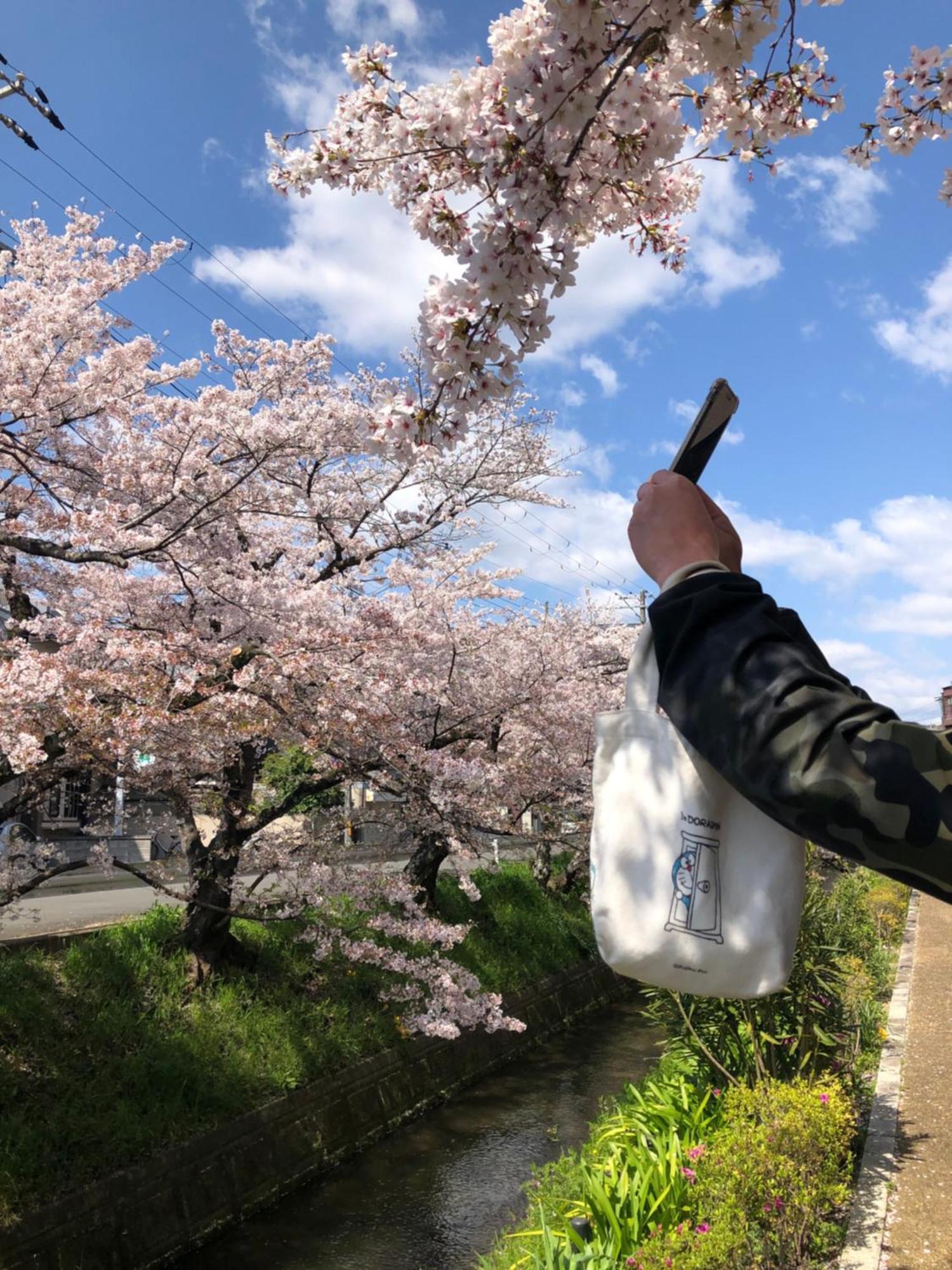 Tsubame-Ya Hotel Kyoto Luaran gambar