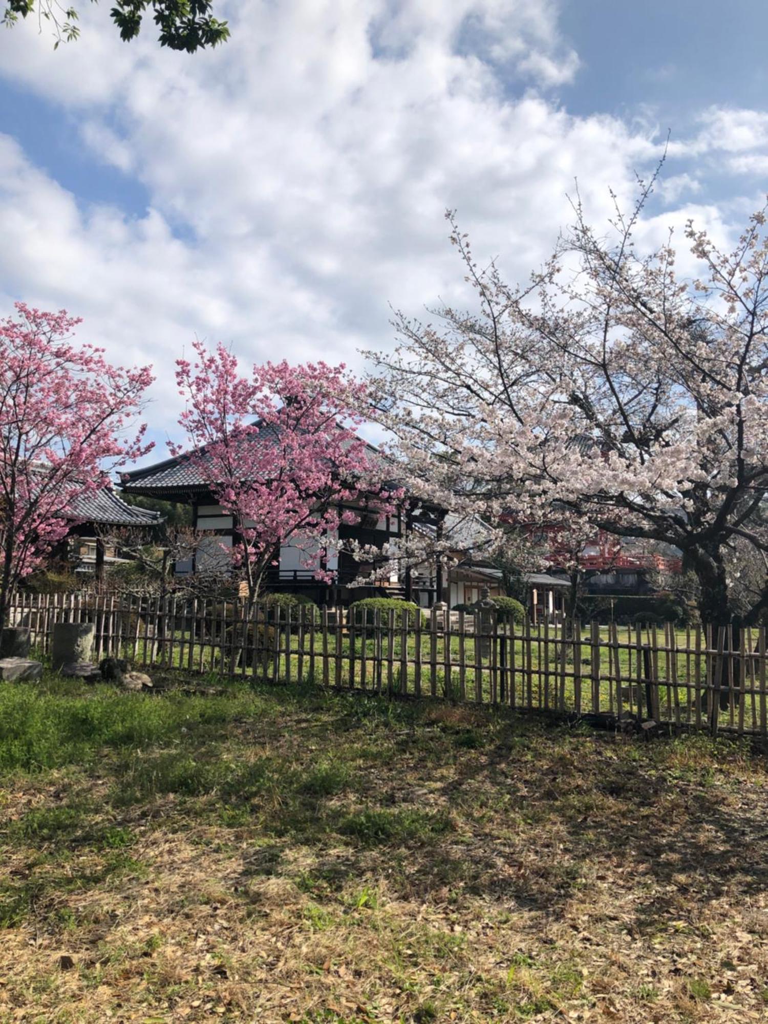 Tsubame-Ya Hotel Kyoto Luaran gambar