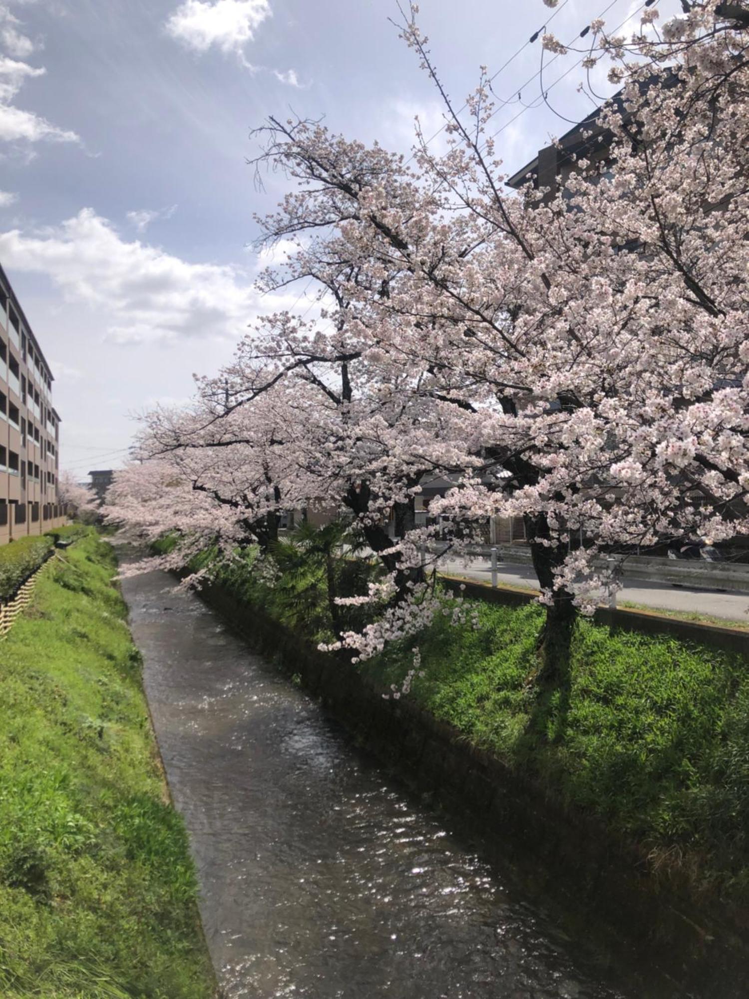 Tsubame-Ya Hotel Kyoto Luaran gambar